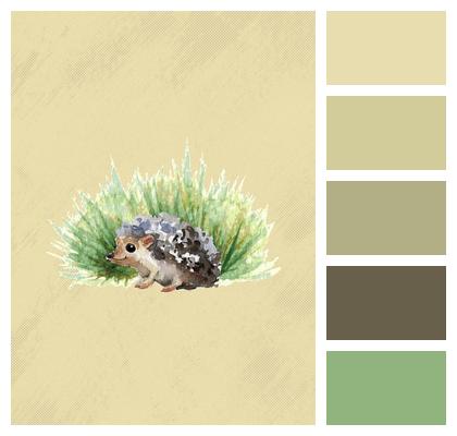 Phone Wallpaper Mammal Hedgehog Image